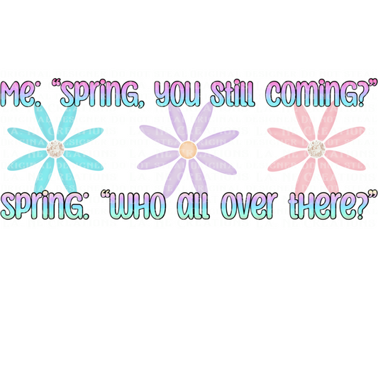 Sassy Spring